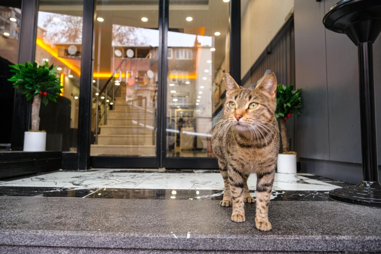 Calenberg Hotel イスタンブール エクステリア 写真